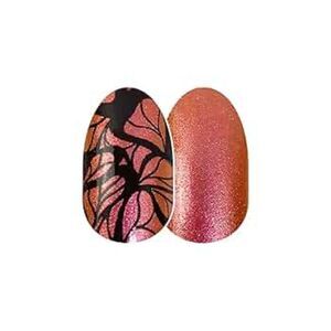 Wing It On - Color Street Nails - FULL SET - NEW